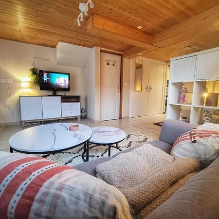Cocon Cosy - 40 M2 - Entre Geneve & Annecy *